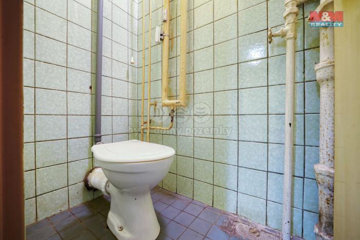 Pronájem obchodního prostoru, Třemošná, Plzeňská, 133 m2