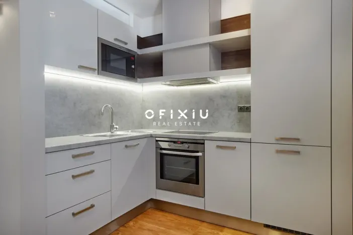 Pronájem bytu 1+kk, Brno - Staré Brno, Kopečná, 39 m2