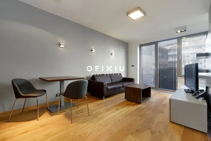 Pronájem bytu 1+kk, Brno - Staré Brno, Kopečná, 39 m2