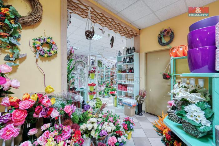 Pronájem obchodního prostoru, Třemošná, Plzeňská, 133 m2