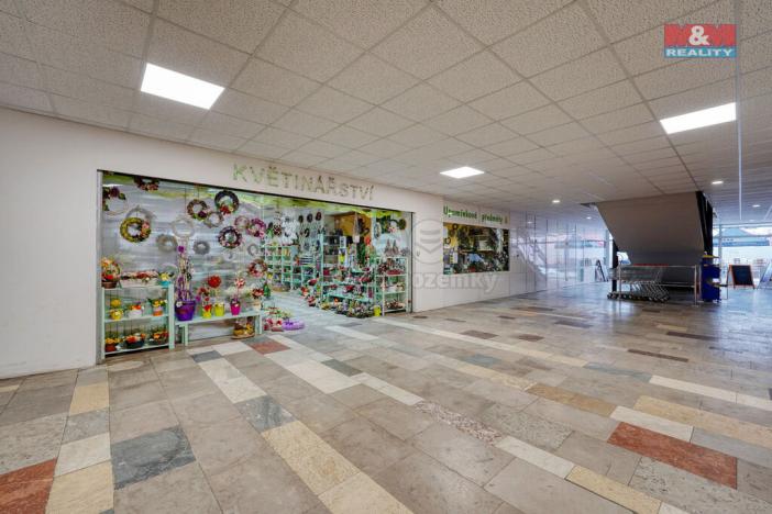 Pronájem obchodního prostoru, Třemošná, Plzeňská, 133 m2