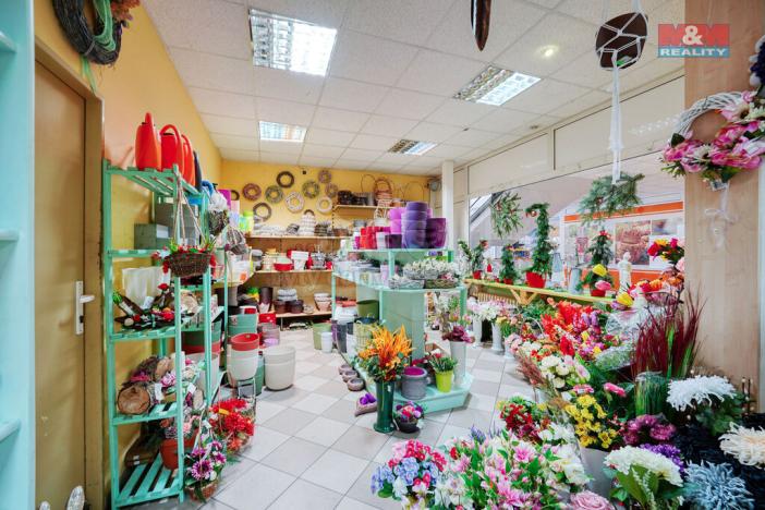 Pronájem obchodního prostoru, Třemošná, Plzeňská, 133 m2