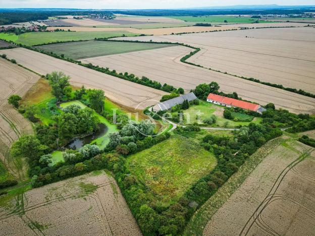 Prodej zemědělského objektu, Běrunice, 600 m2