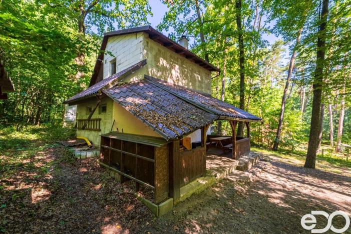 Prodej chaty, Ráby, 30 m2