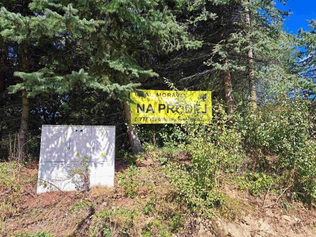 Prodej pozemku pro bydlení, Loučná nad Desnou, 1123 m2