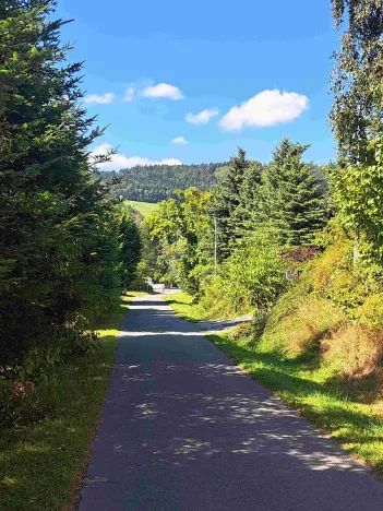 Prodej pozemku pro bydlení, Loučná nad Desnou, 1123 m2