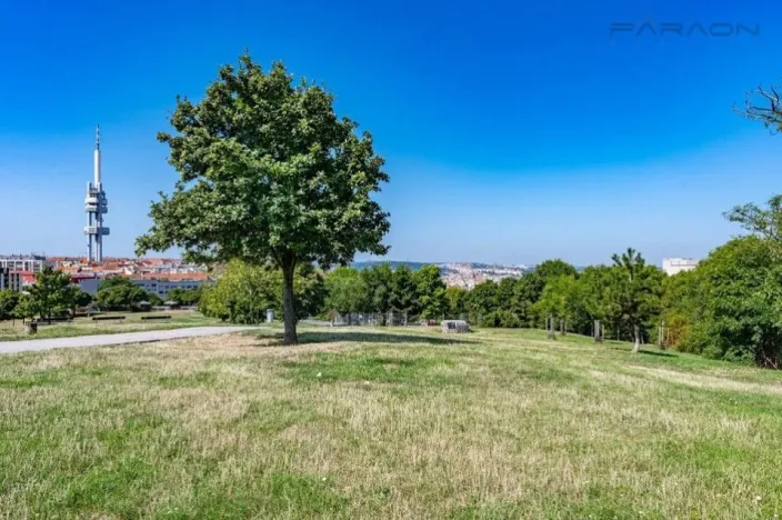 Prodej bytu 4+kk, Praha - Žižkov, Jeseniova, 125 m2