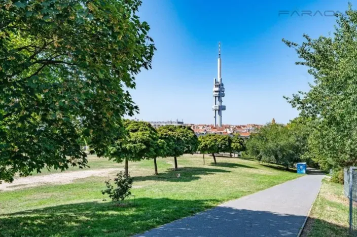 Prodej bytu 4+kk, Praha - Žižkov, Jeseniova, 125 m2