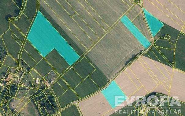 Prodej pole, Radčice, 43076 m2