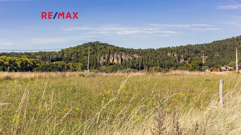 Prodej pozemku pro bydlení, Svojkov, 2003 m2