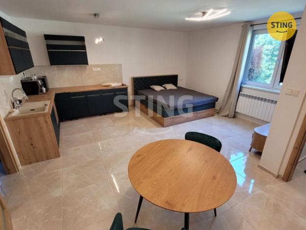 Pronájem bytu 1+kk, Ostrava, Na Lánech, 41 m2