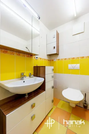 Prodej bytu 1+kk, Šternberk, Labutí, 31 m2