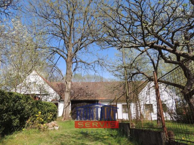 Prodej zemědělské usedlosti, Jílovice, 545 m2