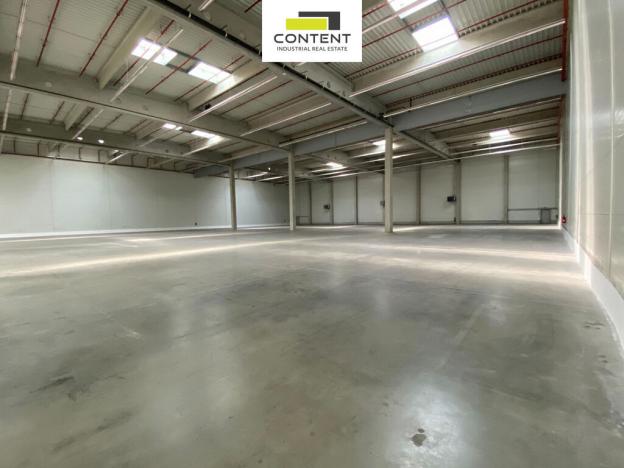 Pronájem výrobních prostor, Pardubice - Pardubičky, Průmyslová, 14556 m2