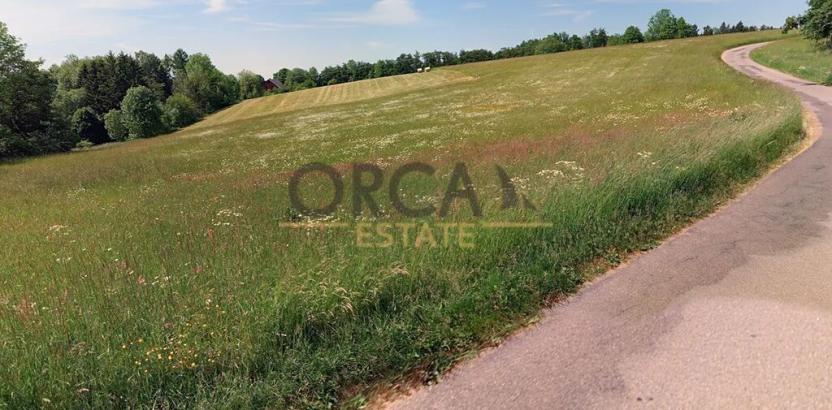 Prodej louky, Liberk, 12372 m2