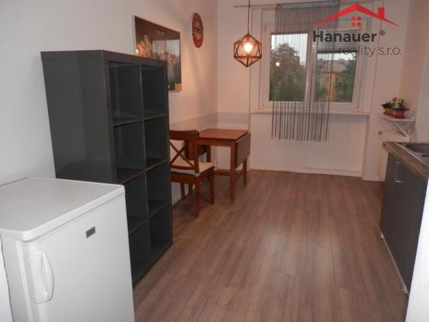 Pronájem bytu 1+1, Ústí nad Labem - Klíše, Bezručova, 35 m2