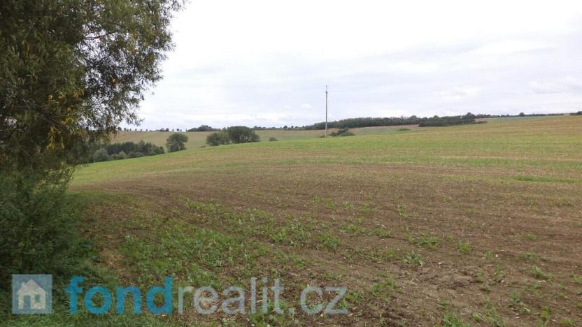 Prodej pozemku, Traplice, 19641 m2