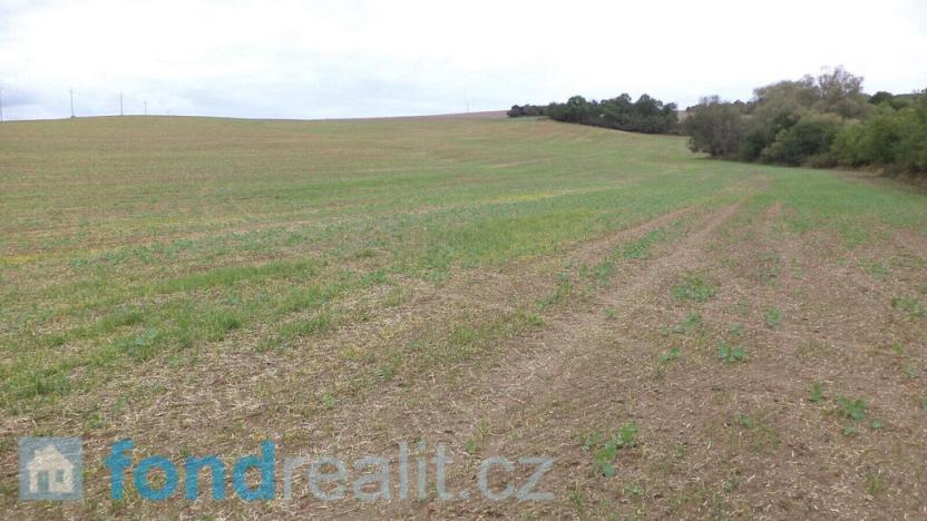 Prodej pozemku, Traplice, 19641 m2