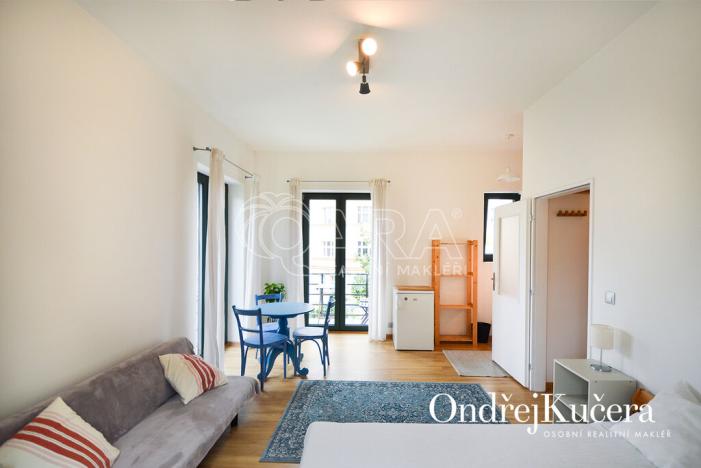 Pronájem bytu 1+kk, Praha - Nusle, Nad Nuslemi, 30 m2