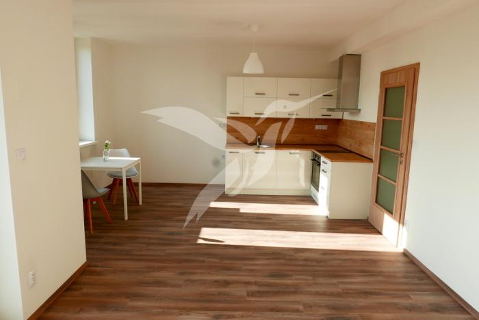 Pronájem bytu 1+kk, Plzeň, U Velkého rybníka, 34 m2