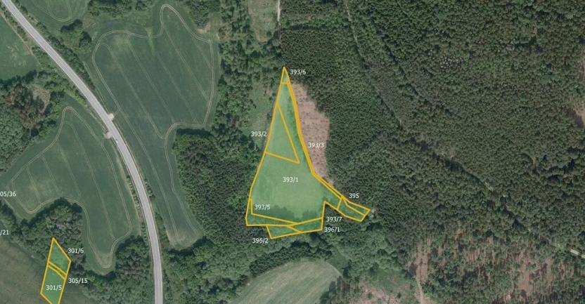 Prodej louky, Vilémovice, 37257 m2