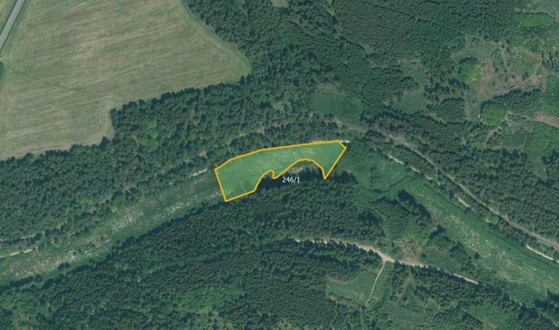 Prodej pole, Bor, 85030 m2