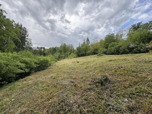 Prodej rodinného domu, Úžice - Radvanice, 200 m2