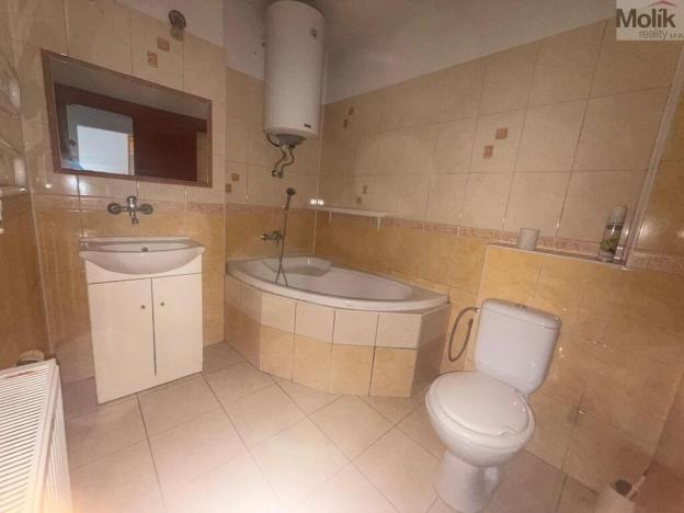 Prodej rodinného domu, Bílina - Teplické Předměstí, Teplická, 290 m2