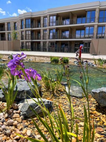 Pronájem bytu 1+kk, Brandýs nad Labem-Stará Boleslav - Brandýs nad Labem, Dřevčická, 42 m2