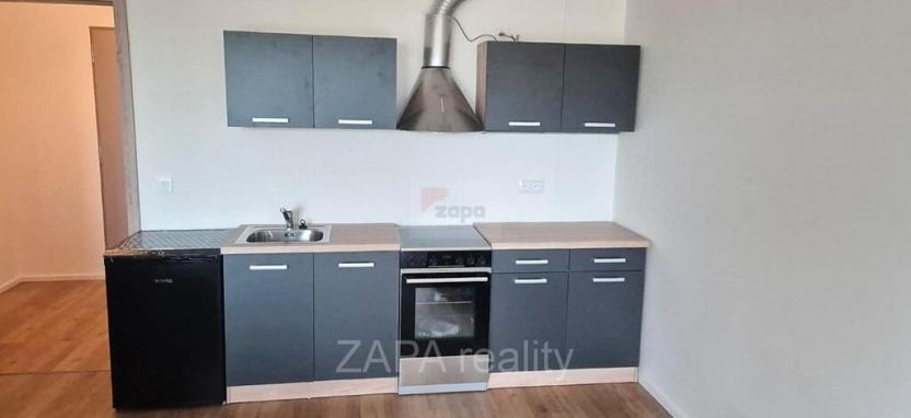 Pronájem bytu 1+kk, Brandýs nad Labem-Stará Boleslav - Brandýs nad Labem, Dřevčická, 42 m2