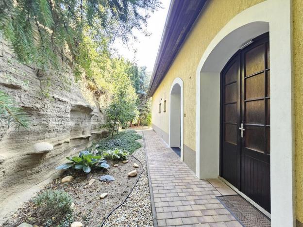 Prodej rodinného domu, Brno - Černovice, Vinohradská, 350 m2