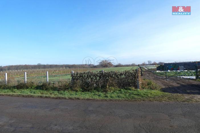 Prodej zahrady, Nové Dvory, 9979 m2