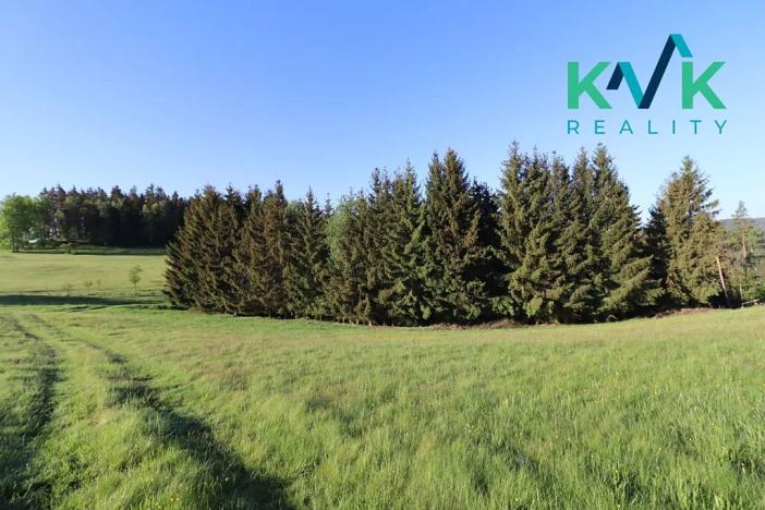 Prodej lesa, Kolová, 8922 m2