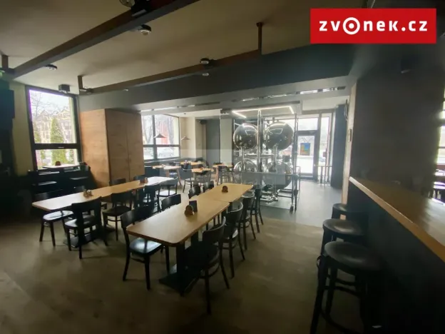 Prodej obchodního prostoru, Holešov, Novosady, 500 m2