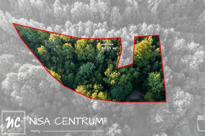 Prodej lesa, Nová Ves nad Nisou, 5031 m2