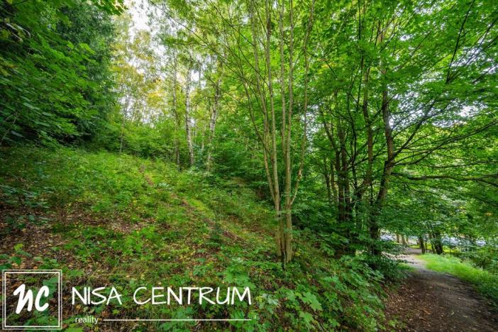 Prodej lesa, Nová Ves nad Nisou, 5031 m2