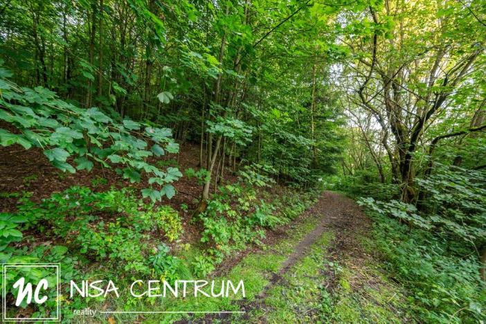 Prodej lesa, Nová Ves nad Nisou, 5031 m2