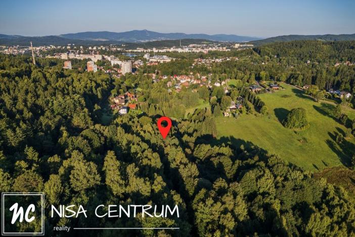 Prodej lesa, Nová Ves nad Nisou, 5031 m2