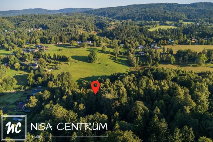 Prodej lesa, Nová Ves nad Nisou, 5031 m2