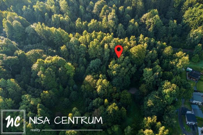 Prodej lesa, Nová Ves nad Nisou, 5031 m2