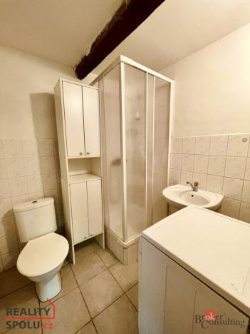 Prodej rodinného domu, Černuc - Miletice, 230 m2