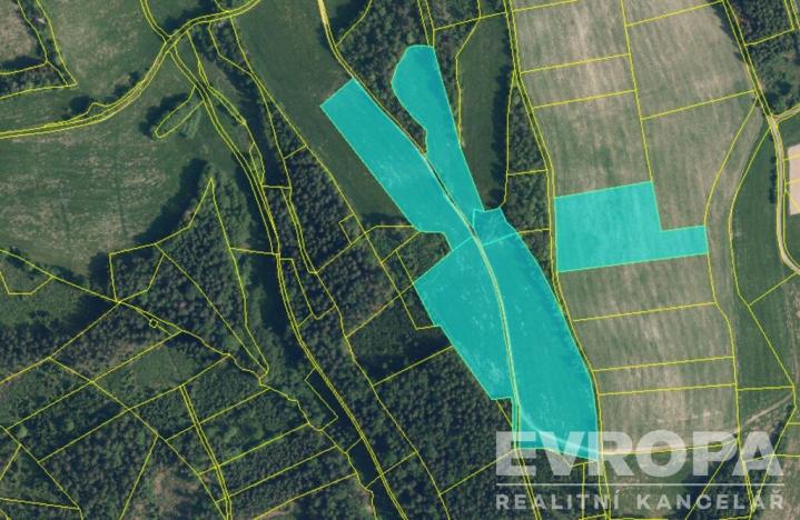 Prodej pole, Jílové u Držkova, 107792 m2