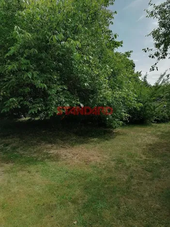 Prodej chaty, Dobřany, 54 m2