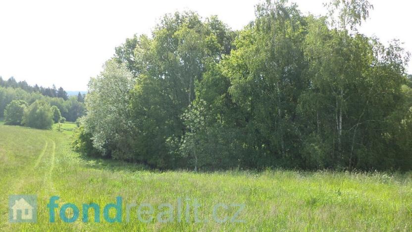 Prodej pozemku, Pluhův Žďár - Červená Lhota, 2746 m2