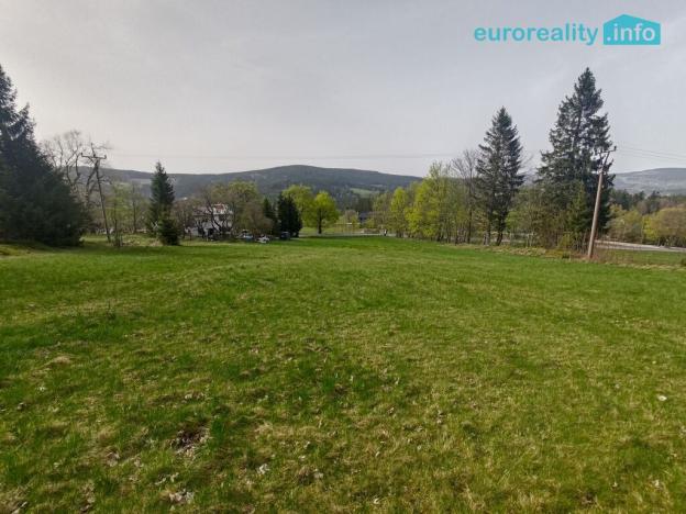 Prodej louky, Zdíkov - Masákova Lhota, 5869 m2