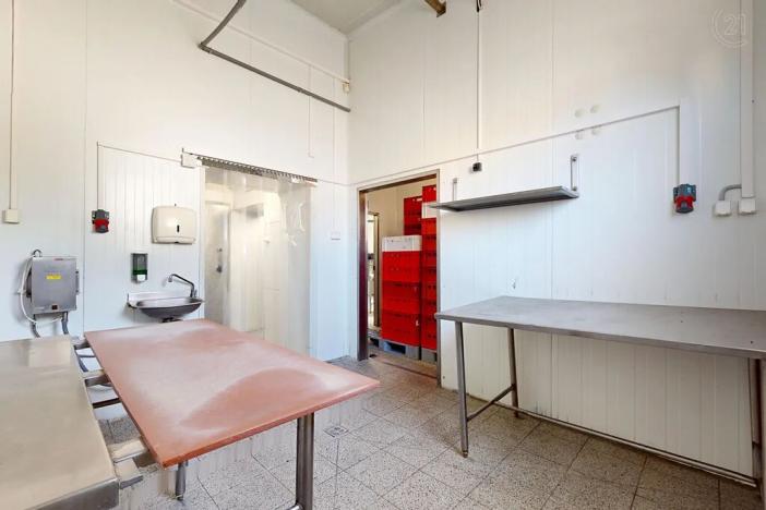 Prodej výrobních prostor, Týnec nad Sázavou, Družstevní, 308 m2