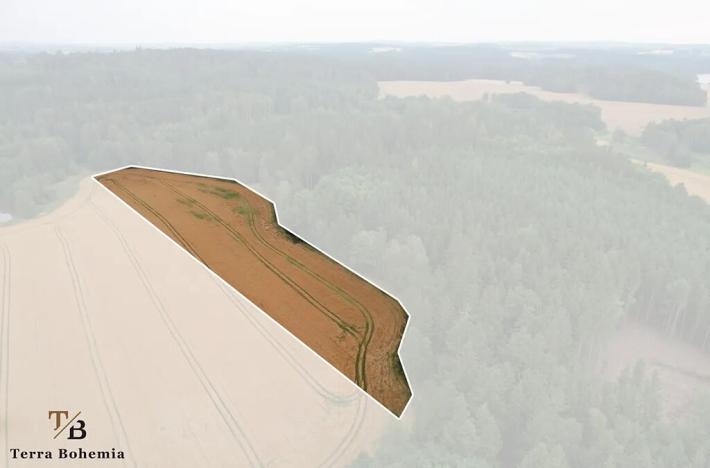 Prodej pole, Blažejov, 17187 m2