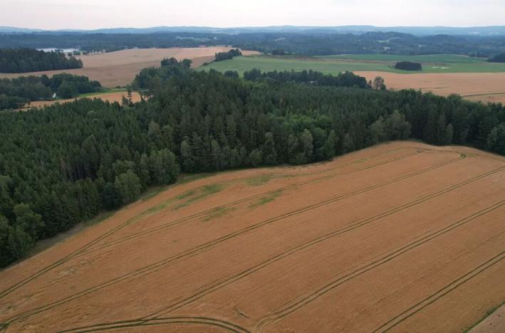 Prodej pole, Blažejov, 17187 m2