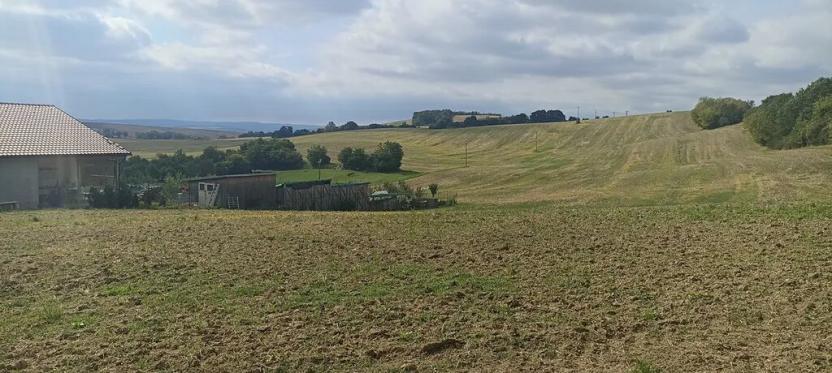 Prodej pozemku pro bydlení, Bohdalice-Pavlovice, 3936 m2