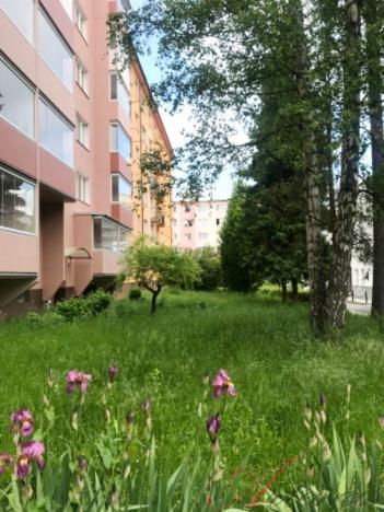 Pronájem bytu 1+kk, Ostrava - Poruba, Panelová, 25 m2
